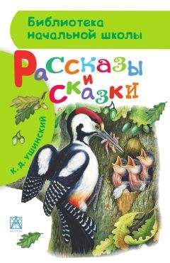 Константин Ушинский - Рассказы и сказки - Читать 📖 Читать онлайн 👀 Читаемые книги читать онлайн бесплатно 🔥 booksread-online.com