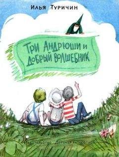 Илья Туричин - Три Андрюши и Добрый Волшебник - Читать 📖 Читать онлайн 👀 Читаемые книги читать онлайн бесплатно 🔥 booksread-online.com