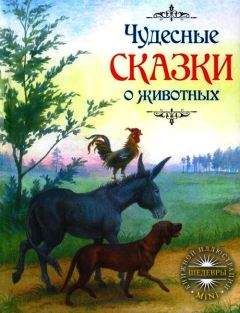 Якоб Гримм - Чудесные сказки о животных - Читать | Читать онлайн | Читаемые книги читать онлайн бесплатно | booksread-online.com