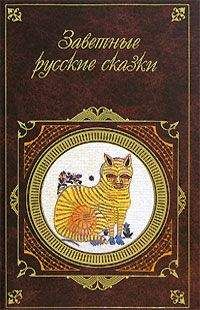Александр Афанасьев - Заветные русские сказки - Читать | Читать онлайн | Читаемые книги читать онлайн бесплатно | booksread-online.com