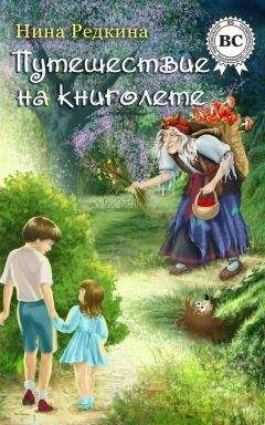 Нина Редкина - Путешествие на книголете - Читать Читать онлайн Читаемые книги читать онлайн бесплатно booksread-online.com