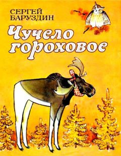 Сергей Баруздин - Чучело гороховое. Сказки - Читать 📖 Читать онлайн 👀 Читаемые книги читать онлайн бесплатно 🔥 booksread-online.com