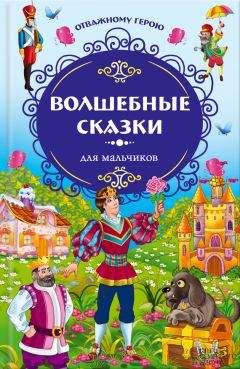 Якоб и Вильгельм Гримм - Отважному герою. Волшебные сказки для мальчиков - Читать 📖 Читать онлайн 👀 Читаемые книги читать онлайн бесплатно 🔥 booksread-online.com