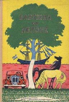 Вера Ферра-Микура - Валентин свистит в травинку - Читать | Читать онлайн | Читаемые книги читать онлайн бесплатно | booksread-online.com