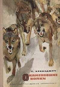 Ахмет Хромаджич - Окаменевшие волки - Читать | Читать онлайн | Читаемые книги читать онлайн бесплатно | booksread-online.com