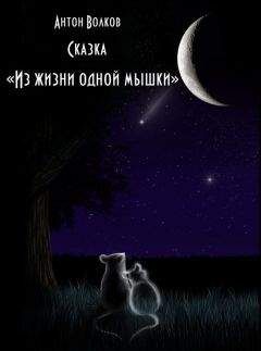 Антон Волков - Из жизни одной мышки - Читать 📖 Читать онлайн 👀 Читаемые книги читать онлайн бесплатно 🔥 booksread-online.com