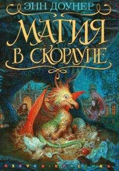Энн Доунер - Магия в скорлупе - Читать Читать онлайн Читаемые книги читать онлайн бесплатно booksread-online.com