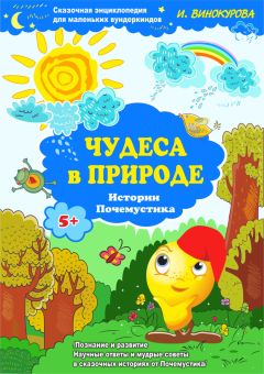 Ирина Винокурова - Сказочная энциклопедия для маленьких вундеркиндов. Чудеса в природе - Читать 📖 Читать онлайн 👀 Читаемые книги читать онлайн бесплатно 🔥 booksread-online.com