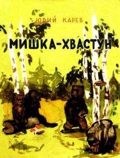 Юрий Карев - Мишка-хвастун - Читать | Читать онлайн | Читаемые книги читать онлайн бесплатно | booksread-online.com