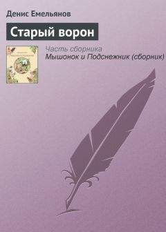 Денис Емельянов - Старый ворон - Читать 📖 Читать онлайн 👀 Читаемые книги читать онлайн бесплатно 🔥 booksread-online.com