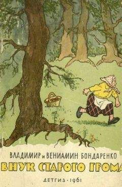 Владимир Бондаренко - Внук старого Грома - Читать 📖 Читать онлайн 👀 Читаемые книги читать онлайн бесплатно 🔥 booksread-online.com