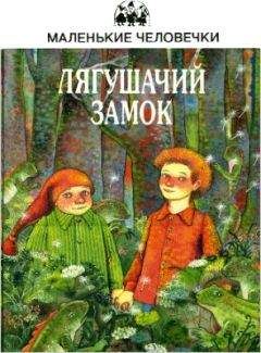Юстейн Гордер - Лягушачий замок - Читать | Читать онлайн | Читаемые книги читать онлайн бесплатно | booksread-online.com