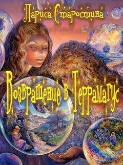 Лариса Старостина - Возвращение в Террамагус - Читать 📖 Читать онлайн 👀 Читаемые книги читать онлайн бесплатно 🔥 booksread-online.com