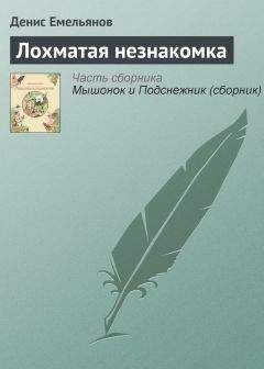 Денис Емельянов - Лохматая незнакомка - Читать 📖 Читать онлайн 👀 Читаемые книги читать онлайн бесплатно 🔥 booksread-online.com