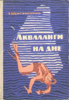 Евгений Шерстобитов - Акваланги на дне - Читать 📖 Читать онлайн 👀 Читаемые книги читать онлайн бесплатно 🔥 booksread-online.com