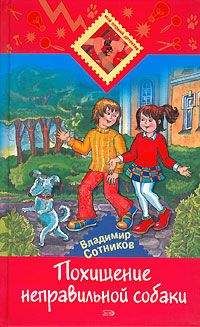 Владимир Сотников - Похищение неправильной собаки - Читать 📖 Читать онлайн 👀 Читаемые книги читать онлайн бесплатно 🔥 booksread-online.com