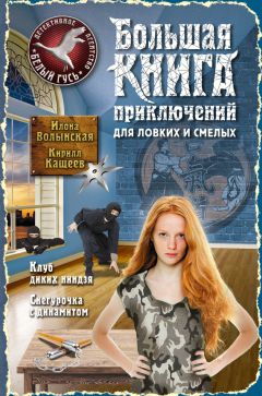 Кирилл Кащеев - Большая книга приключений для ловких и смелых (сборник) - Читать 📖 Читать онлайн 👀 Читаемые книги читать онлайн бесплатно 🔥 booksread-online.com