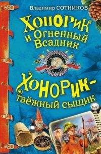 Владимир Сотников - Хонорик и Огненный Всадник - Читать 📖 Читать онлайн 👀 Читаемые книги читать онлайн бесплатно 🔥 booksread-online.com
