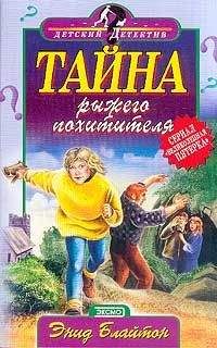 Энид Блайтон - Тайна рыжего похитителя - Читать 📖 Читать онлайн 👀 Читаемые книги читать онлайн бесплатно 🔥 booksread-online.com