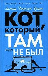 Лилиан Браун - Кот, который там не был - Читать 📖 Читать онлайн 👀 Читаемые книги читать онлайн бесплатно 🔥 booksread-online.com
