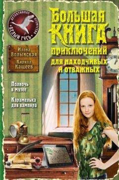 Илона Волынская - Большая книга приключений для находчивых и отважных (сборник) - Читать 📖 Читать онлайн 👀 Читаемые книги читать онлайн бесплатно 🔥 booksread-online.com