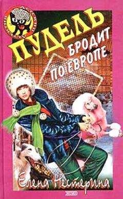 Елена Нестерина - Пудель бродит по Европе - Читать 📖 Читать онлайн 👀 Читаемые книги читать онлайн бесплатно 🔥 booksread-online.com