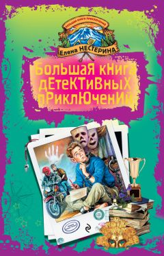 Елена Нестерина - Большая книга детективных приключений (сборник) - Читать 📖 Читать онлайн 👀 Читаемые книги читать онлайн бесплатно 🔥 booksread-online.com