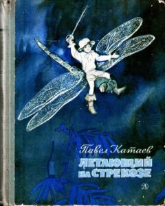 Павел Катаев - Пять Робинзонов - Читать 📖 Читать онлайн 👀 Читаемые книги читать онлайн бесплатно 🔥 booksread-online.com