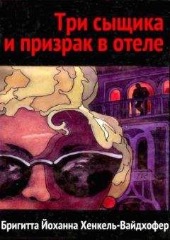 Бригитта Хенкель-Вайдхофер - Три сыщика и призрак в отеле - Читать 📖 Читать онлайн 👀 Читаемые книги читать онлайн бесплатно 🔥 booksread-online.com