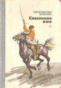Константин Шишкан - Спасенное имя - Читать 📖 Читать онлайн 👀 Читаемые книги читать онлайн бесплатно 🔥 booksread-online.com