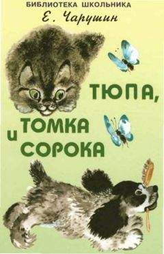 Евгений Чарушин - Тюпа, Томка и сорока - Читать 📖 Читать онлайн 👀 Читаемые книги читать онлайн бесплатно 🔥 booksread-online.com