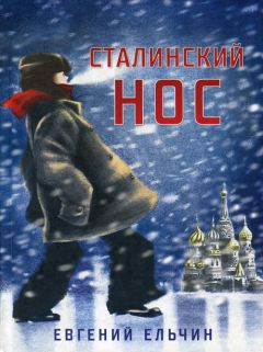 Евгений Ельчин - Сталинский нос - Читать 📖 Читать онлайн 👀 Читаемые книги читать онлайн бесплатно 🔥 booksread-online.com