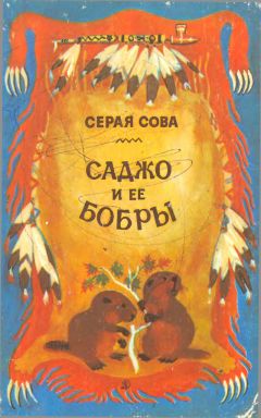 Вэши Куоннезина - Саджо и ее бобры - Читать 📖 Читать онлайн 👀 Читаемые книги читать онлайн бесплатно 🔥 booksread-online.com
