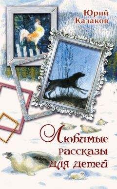 Юрий Казаков - Любимые рассказы для детей - Читать 📖 Читать онлайн 👀 Читаемые книги читать онлайн бесплатно 🔥 booksread-online.com