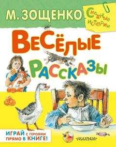 Михаил Зощенко - Весёлые рассказы (сборник) - Читать | Читать онлайн | Читаемые книги читать онлайн бесплатно | booksread-online.com