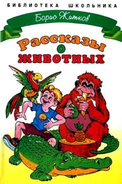 Борис Житков - Рассказы о животных - Читать | Читать онлайн | Читаемые книги читать онлайн бесплатно | booksread-online.com