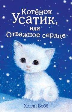 Холли Вебб - Котёнок Усатик, или Отважное сердце - Читать 📖 Читать онлайн 👀 Читаемые книги читать онлайн бесплатно 🔥 booksread-online.com