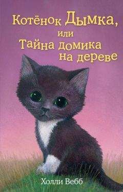 Холли Вебб - Котенок Дымка, или Тайна домика на дереве - Читать 📖 Читать онлайн 👀 Читаемые книги читать онлайн бесплатно 🔥 booksread-online.com