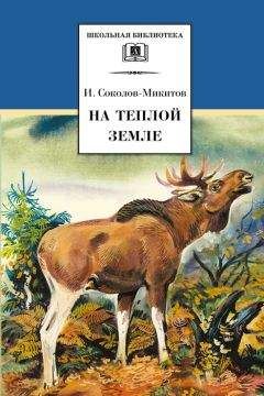 Иван Соколов-Микитов - На теплой земле (сборник) - Читать 📖 Читать онлайн 👀 Читаемые книги читать онлайн бесплатно 🔥 booksread-online.com