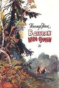 Иосиф Дик - В дебрях Кара-Бумбы - Читать 📖 Читать онлайн 👀 Читаемые книги читать онлайн бесплатно 🔥 booksread-online.com