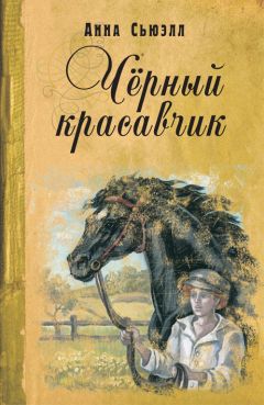 Анна Сьюэлл - Черный Красавчик - Читать 📖 Читать онлайн 👀 Читаемые книги читать онлайн бесплатно 🔥 booksread-online.com