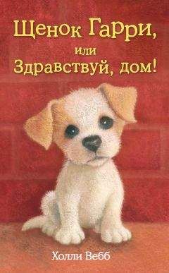 Холли Вебб - Щенок Гарри, или Здравствуй, дом! - Читать 📖 Читать онлайн 👀 Читаемые книги читать онлайн бесплатно 🔥 booksread-online.com