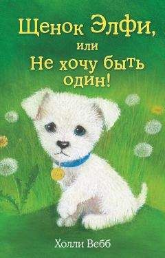 Холли Вебб - Щенок Элфи, или Не хочу быть один! - Читать 📖 Читать онлайн 👀 Читаемые книги читать онлайн бесплатно 🔥 booksread-online.com