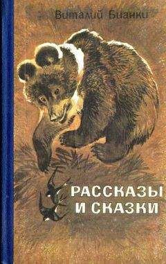 Виталий Бианки - Рассказы и сказки - Читать 📖 Читать онлайн 👀 Читаемые книги читать онлайн бесплатно 🔥 booksread-online.com