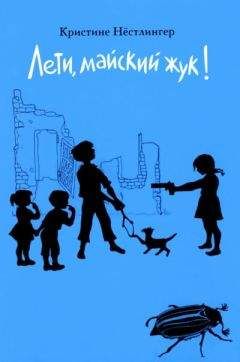 Кристине Нёстлингер - Лети, майский жук! - Читать 📖 Читать онлайн 👀 Читаемые книги читать онлайн бесплатно 🔥 booksread-online.com