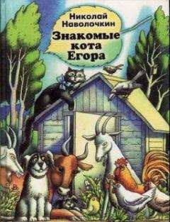 Николай Наволочкин - Знакомые кота Егора - Читать 📖 Читать онлайн 👀 Читаемые книги читать онлайн бесплатно 🔥 booksread-online.com