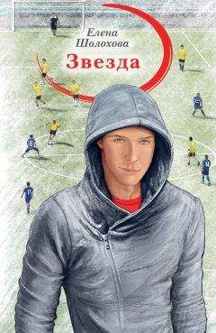 Елена Шолохова - Звезда - Читать 📖 Читать онлайн 👀 Читаемые книги читать онлайн бесплатно 🔥 booksread-online.com
