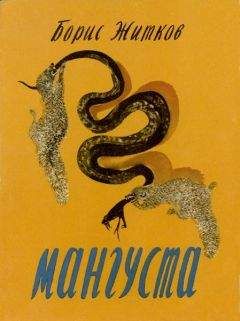 Борис Житков - Мангуста - Читать 📖 Читать онлайн 👀 Читаемые книги читать онлайн бесплатно 🔥 booksread-online.com