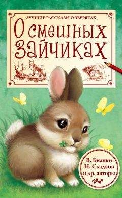 Виталий Бианки - О смешных зайчиках (сборник) - Читать 📖 Читать онлайн 👀 Читаемые книги читать онлайн бесплатно 🔥 booksread-online.com