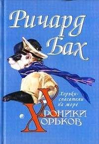 Ричард Бах - Хорьки-спасатели на море - Читать 📖 Читать онлайн 👀 Читаемые книги читать онлайн бесплатно 🔥 booksread-online.com